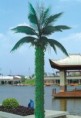 /album/photogallery/palm-tree-light-jpg/